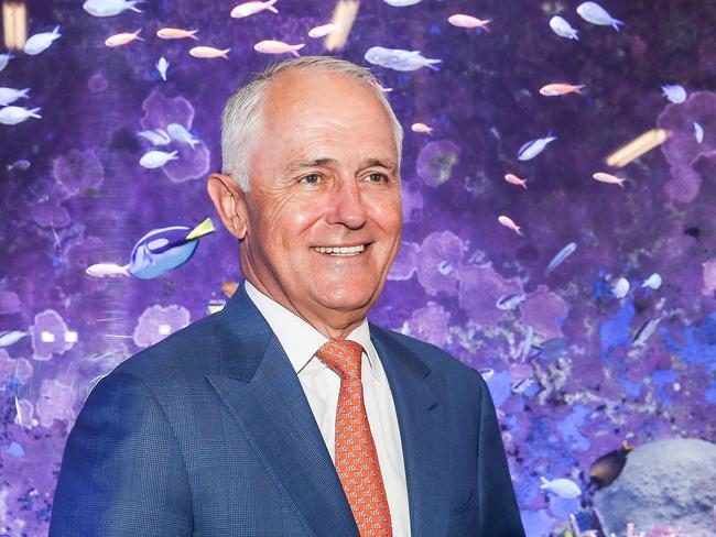 Australian Prime Minister Malcolm Turnbull visits the Australian Institute of Marine Science (AIMS) in Cape Cleveland, Queensland on Monday, January 22, 2018. Malcolm Turnbull has announced a $60 million plan to save the Great Barrier Reef which is under threat from mass bleaching. (AAP Image/Michael Chambers) NO ARCHIVING