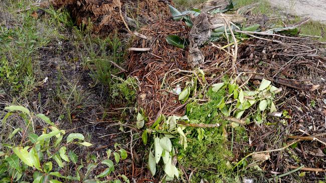 A Werribee-based lawn mowing contractor has been fined for dumping green waste in a suburban street.