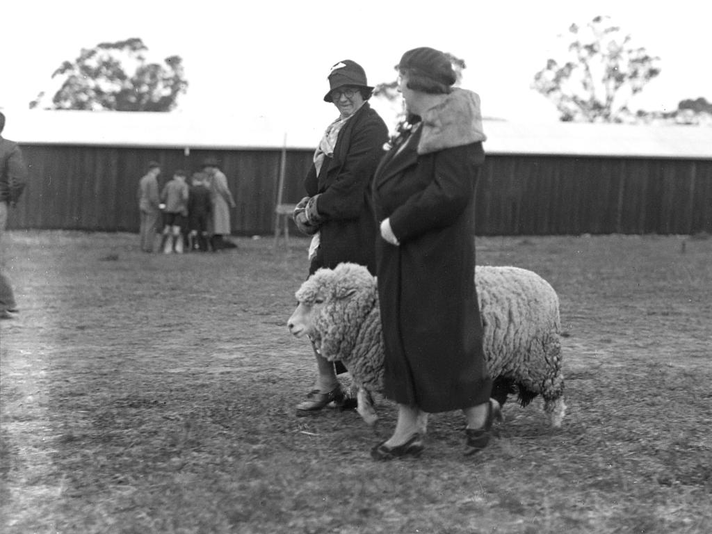 Mercury Archive historical file picture Royal Hobart Show.