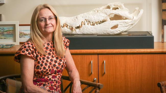 Northern Territory Coroner Elisabeth Armitage. Picture: Glenn Campbell