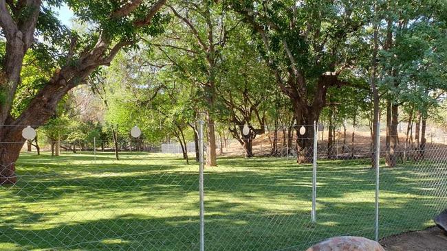 The completed flying-fox park on Young's Block near Charters Towers has been established for the bat colony.