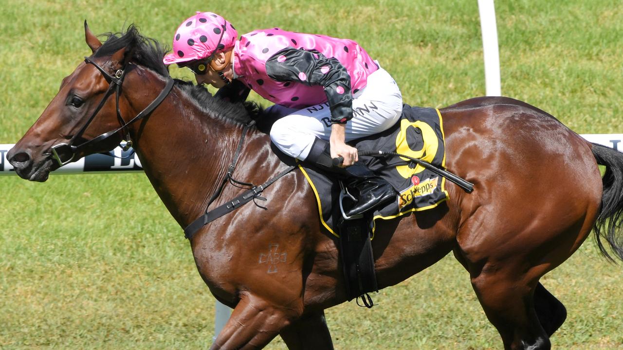Mamaragan is among a star-studded line-up in the Run To The Rose. Picture: AAP
