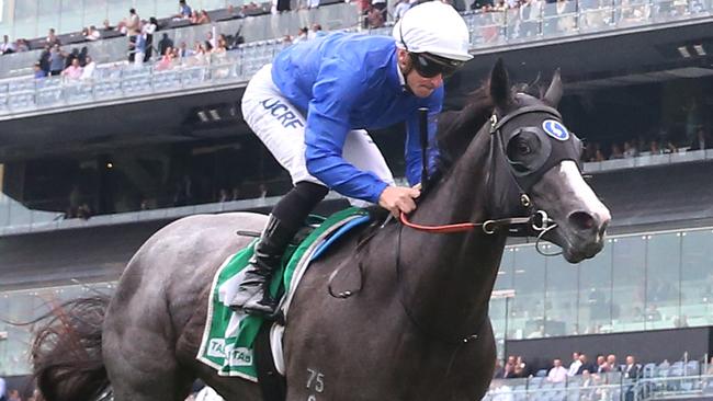 Tenley is one of only two horses still unbeaten heading into the Golden Slipper. Picture: Getty Images 