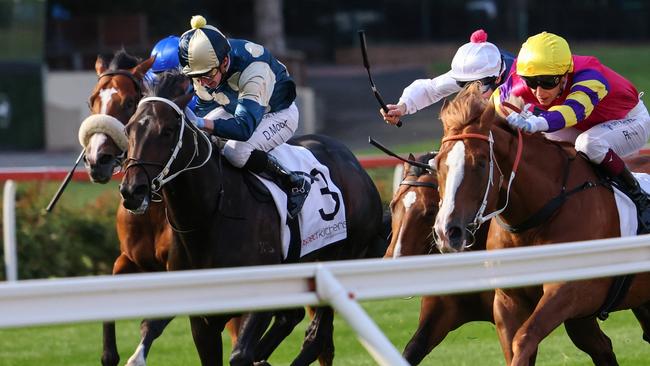 Forgot You (left) responds to the urgings of jockey Daniel Moor to win the Group 2 Stutt Stakes at The Valley. Picture: Racing Photos