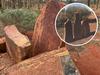 NT cop resigns after crash charges