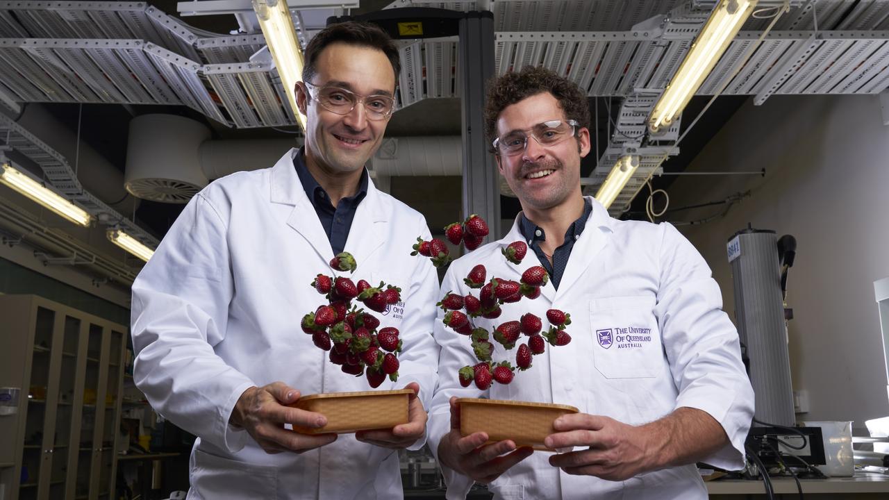 Food for thought after berry good creation
