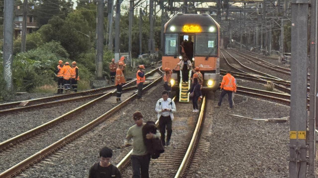 Transport for NSW co-ordinator Howard Collins told reporters the incident had nothing to do with maintenance issues.