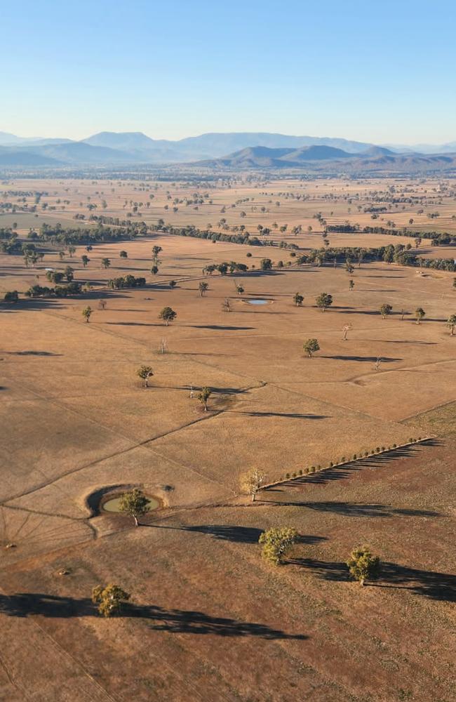 Green pasture is a rare sight for Whorouly dairy farmer Jon Pethybridge. Picture: Supplied