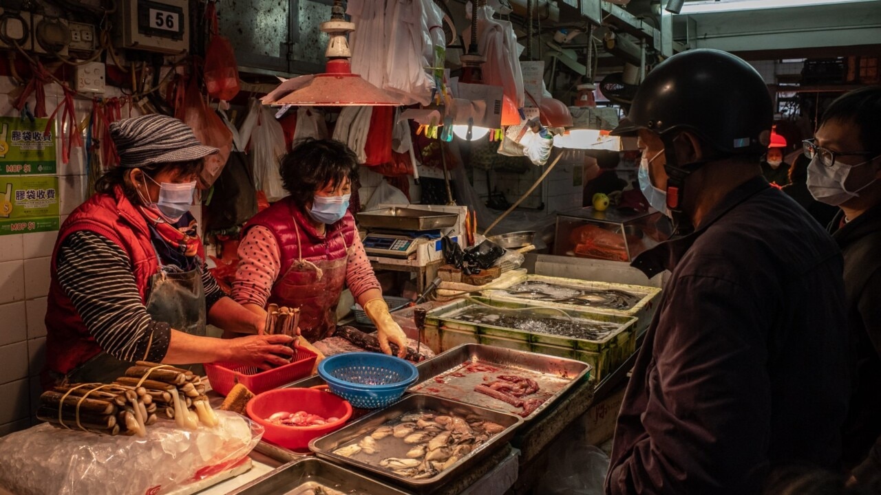 WHO investigate Wuhan seafood market