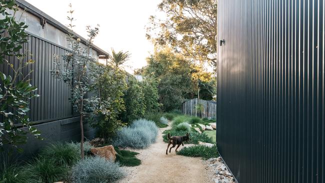 The different elements of the garden make exploring like a walk in the bush