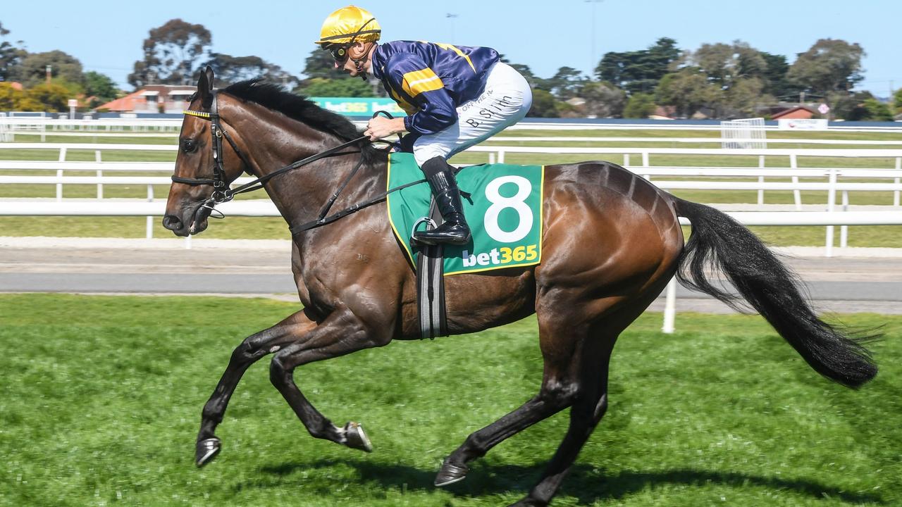 bet365 Geelong Cup