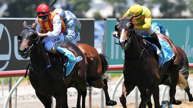 Problem Solver will be out to back up her win in the Magic Millions Maiden last month.