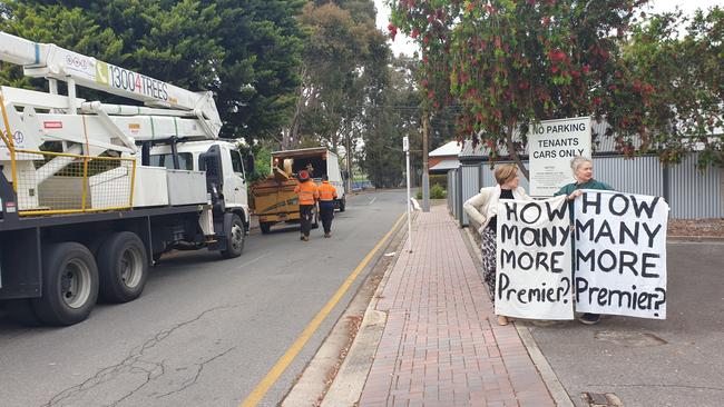 Tree advocates protesting against the planned axing of a lemon scented gum in a Hackney housing estate. Picture: Renato Castello