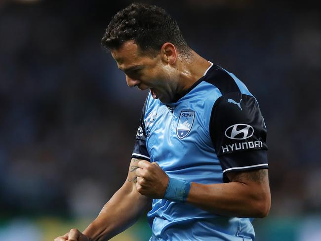 Bobo, simply class. Pic: Brett Costello
