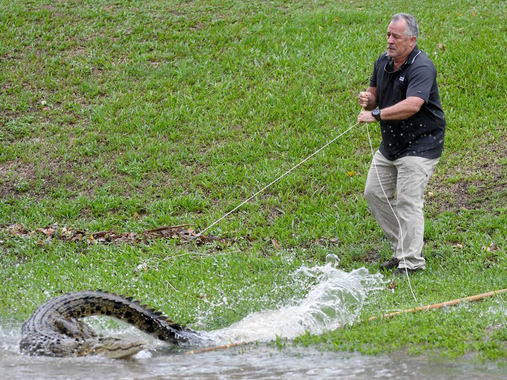 People have been warned to stay out of floodwaters after a 2.5m saltwater croc was caught in Ingham’s Palm Creek. Picture: Evan Morgan