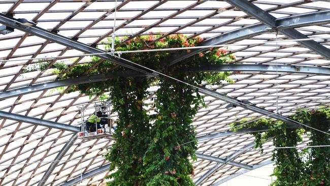 The shade structure on Cavenagh St. Does any other bit of Territory infrastructure get talked about as much as it does?.No. They don’t. Picture: Katrina Bridgeford