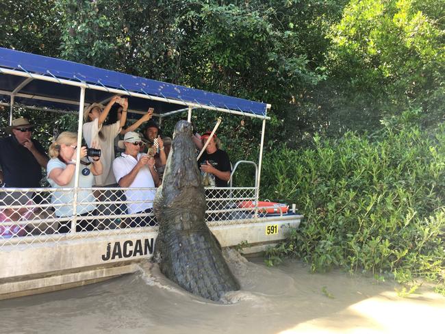 2017: Saltwater crocodile Dominator leaps for his food on jumping croc tour on the Adelaide River Picture: Hayley Sorensen