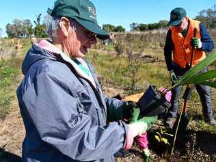 Roslyn Crosswell at the tree planting in Barolin Reserve. Picture: Mike Knott BUN040619BAR17