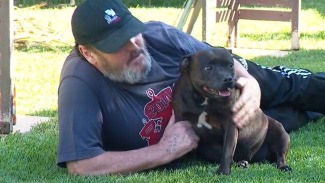 Eight-year-old staffy Dakota was returned to owner Grant Williams of Gillies Plains after being missing for three years. Picture: 9News