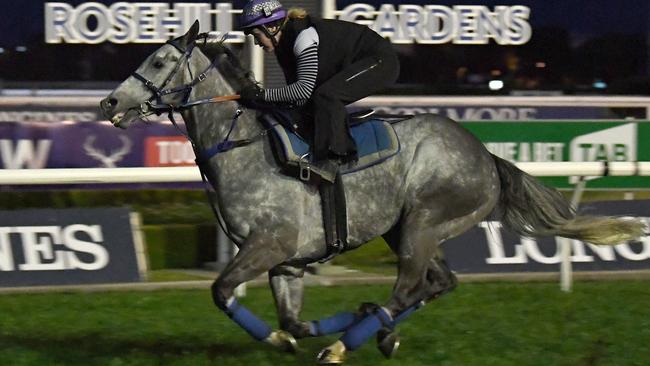 Chautauqua runs past the finish line during a training session at Rosehill last year.