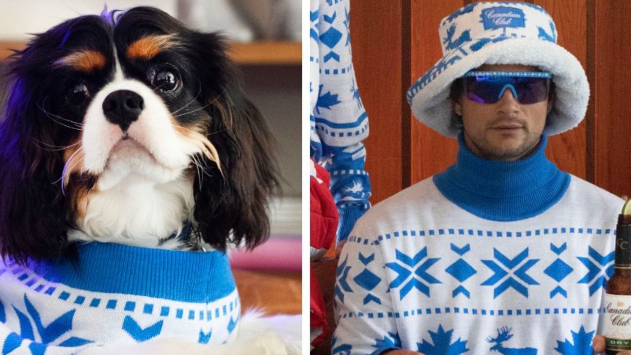 Brewer releases matching jumpers for you and your doggo