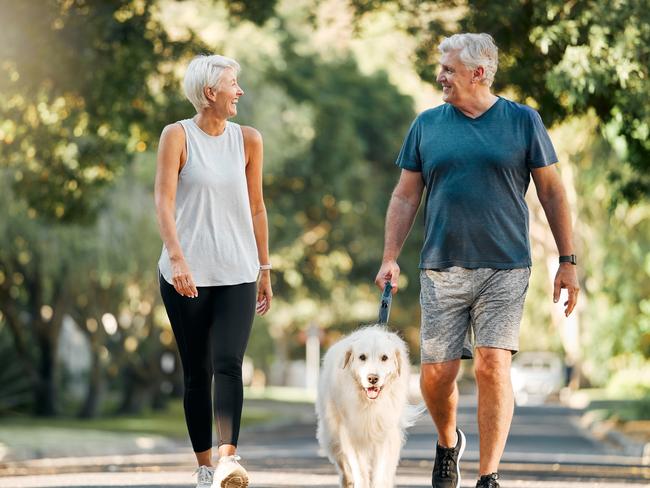 Retirement, fitness and walking with dog and couple in park; active happy retirees, wealth, retirement generic