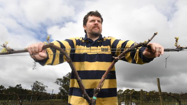 Inverbrackie Creek Catchment chairman Jim Franklin-McEvoy at Bird in Hand Winery. He has concerns about the proposed gold mine. Picture: Tricia Watkinson