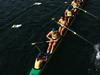 New coaches to lead rowing into future after Paris disaster