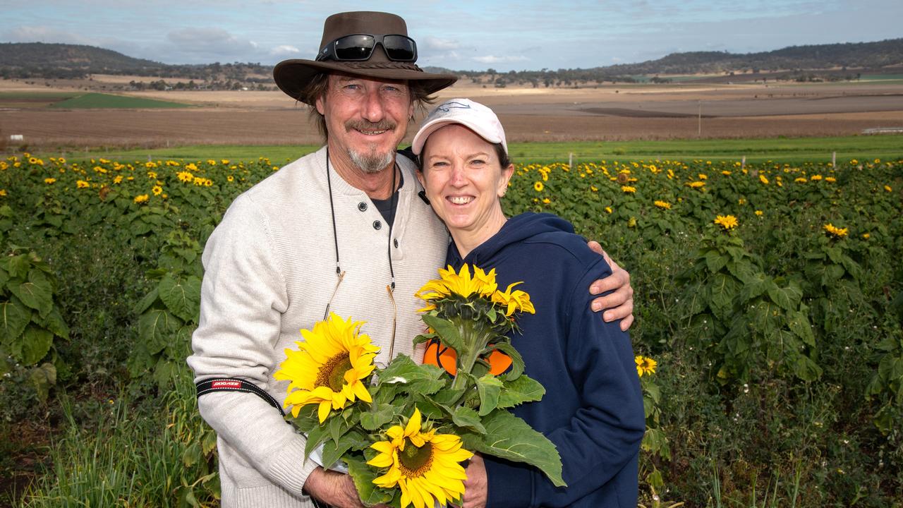 Malcolm and Kerri Ellis.Open day at Warraba Sunflowers, Cambooya. Saturday June 29th, 2024