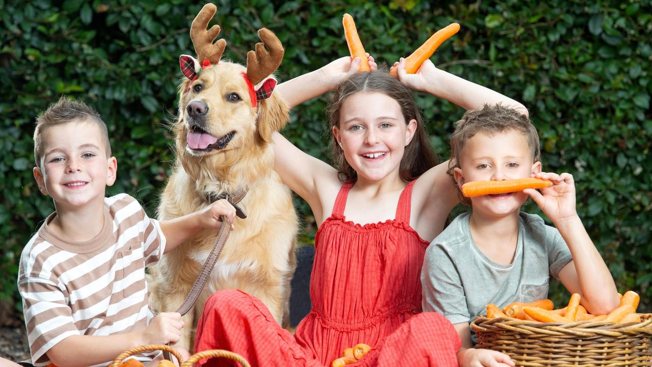 Where to get free carrots for Santa’s reindeer