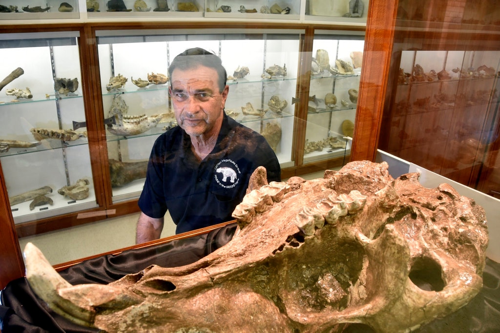 Push for megafauna museum to put region on the map | The Courier Mail