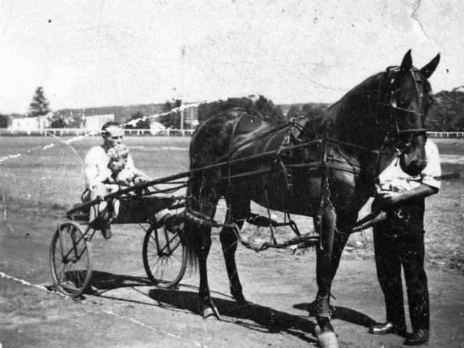 A horse and sulky at Brookvale Park. Picture Northern Beaches Library