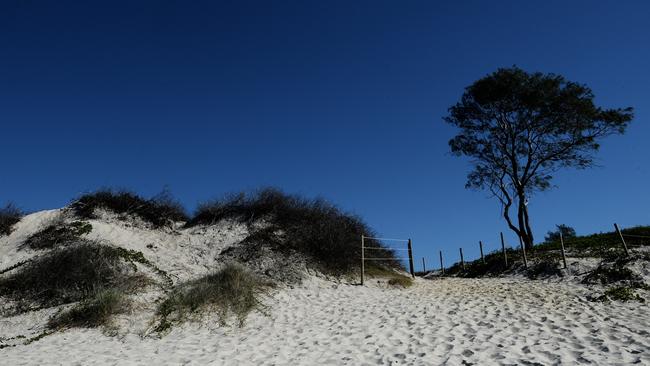 The dunes at Tyagarah Optional Clothing Beach. Picture: Marc Stapelberg