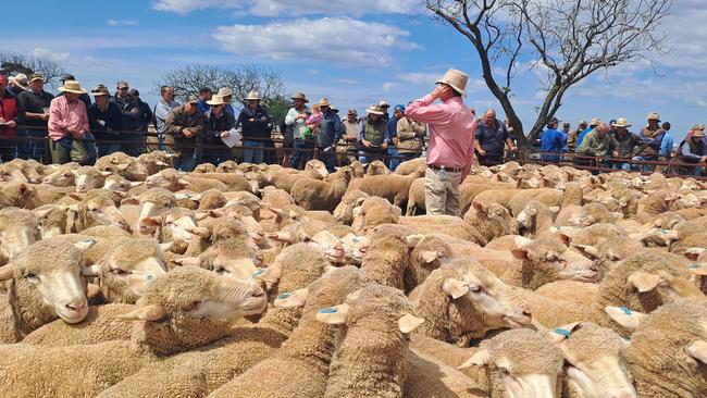 Auctioneers take the bids at Jerilderie.