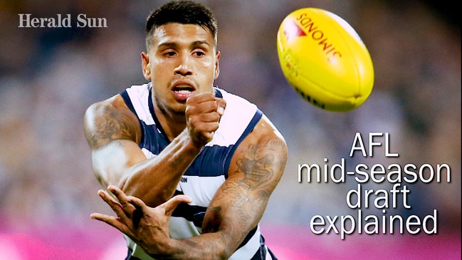 What is AFL? Aussie Rules Explained 