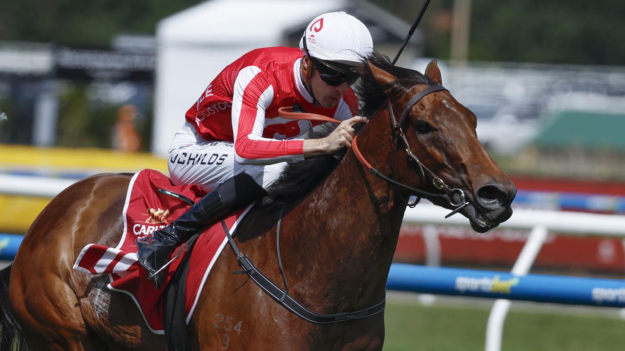 Niance makes her return at Caulfield on Saturday. Picture: Michael Klein