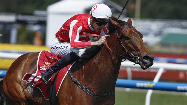 Niance makes her return at Caulfield on Saturday. Picture: Michael Klein