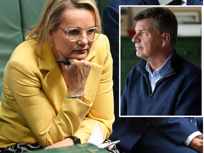 Sussan Ley and Angus Taylor