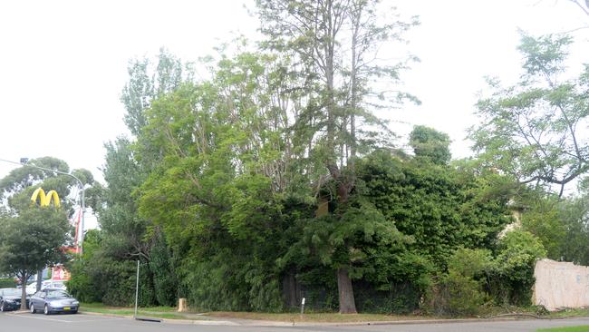 The restaurant completely covered in trees. Picture: Ian Svegovic