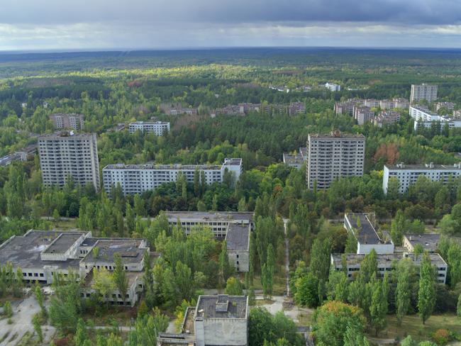 Natural renewal at Chernobyl, Ukraine, depicted in David Attenborough: A Life on Our Planet.