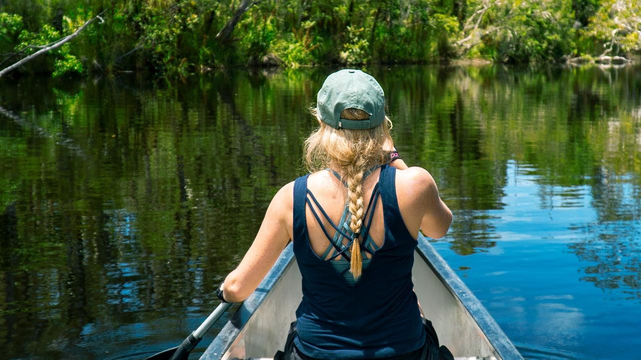 Everglades Eco Safaris will resume its eco tours to the Noosa Everglades after a five-month closure due to COVID-19.