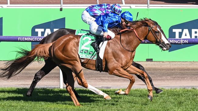 Cascadian (Ben Melham) gets home over the top of Pride of Jenni to win the Australian Cup at Flemington on March 30. Picture: Reg Ryan / Racing Photos