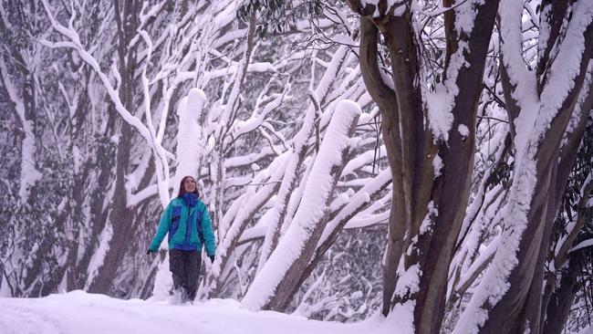 Falls Creek local Daisy Pellerini, 21, is all smiles after 37cm of fresh snow fell at the Victorian ski resort this week. Heavy snowfalls are forecast again this weekend. Picture: Chris Hocking