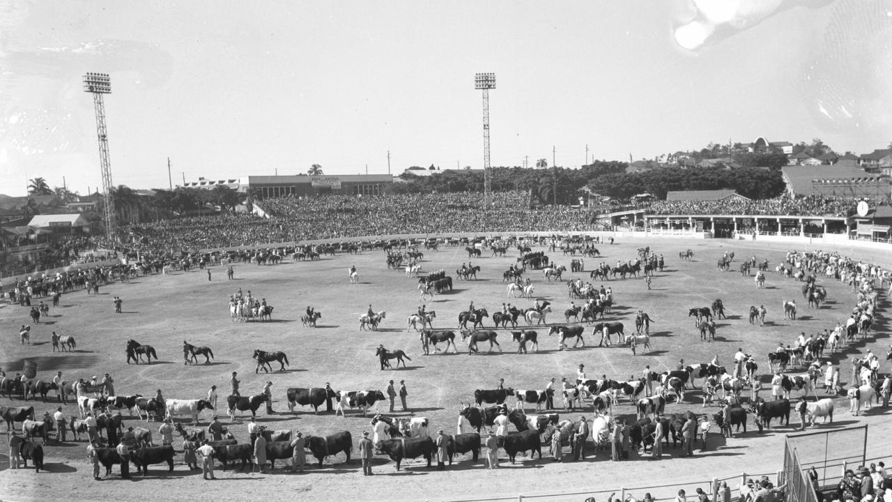 Cattle judging in the centre ring Grand Parade, 1956. Picture: Ray Saunders