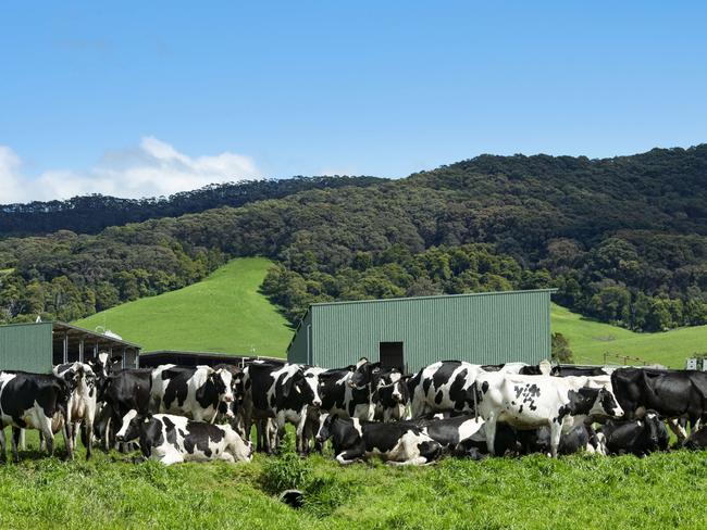 Farmers are preparing for the June 1 pricing deadline. Picture: Zoe Phillips