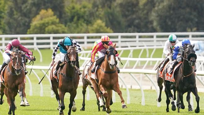 Country racing with crowds is just weeks away from returning. (Scott Barbour/Racing Photos via Getty Images)