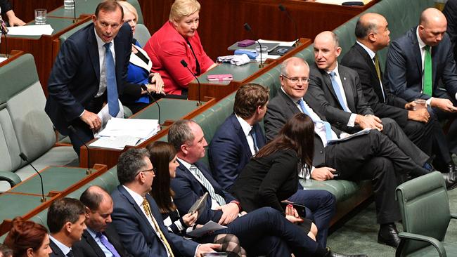 Coalition members vote yes to an amendment during the debate of the Marriage Amendment Bill in the House of Representatives at Parliament House in Canberra, Thursday, December 7, 2017. (AAP Image/Mick Tsikas) NO ARCHIVING