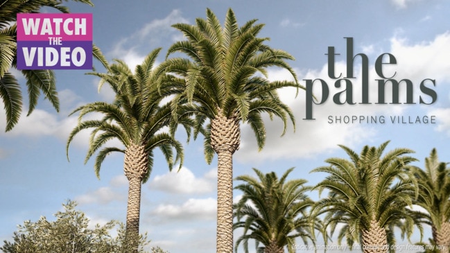 Fly through The Palms Shopping Village at Riverlea