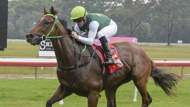 Kattegat returns for Forbes on Sunday looking for his second win in the Ben Hall Bullett. Picture: Bradley Photos
