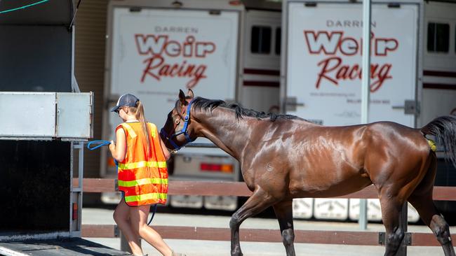 A float collects a single horse from Darren Weir’s Miners Rest stables. Picture: Jay Town